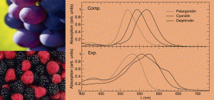 Anthocyanidines